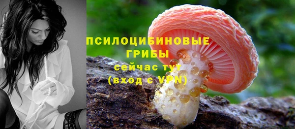 таблы Осинники