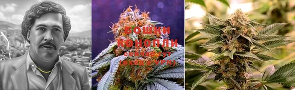 прущие крисы Остров