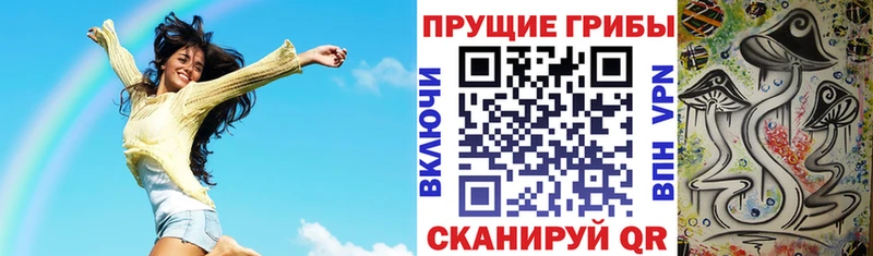 Купить закладки  Полысаево  Псилоцибиновые грибы GOLDEN TEACHER 