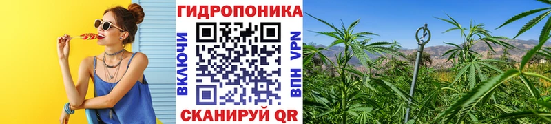 Канабис конопля  Купить  Полысаево 